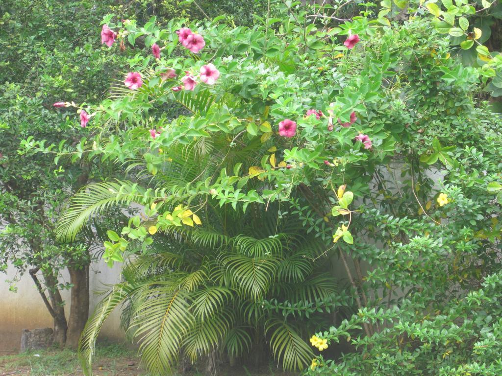 Ranith Villa Tangalle Bagian luar foto