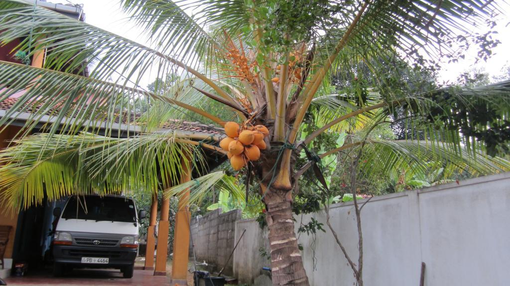 Ranith Villa Tangalle Bagian luar foto